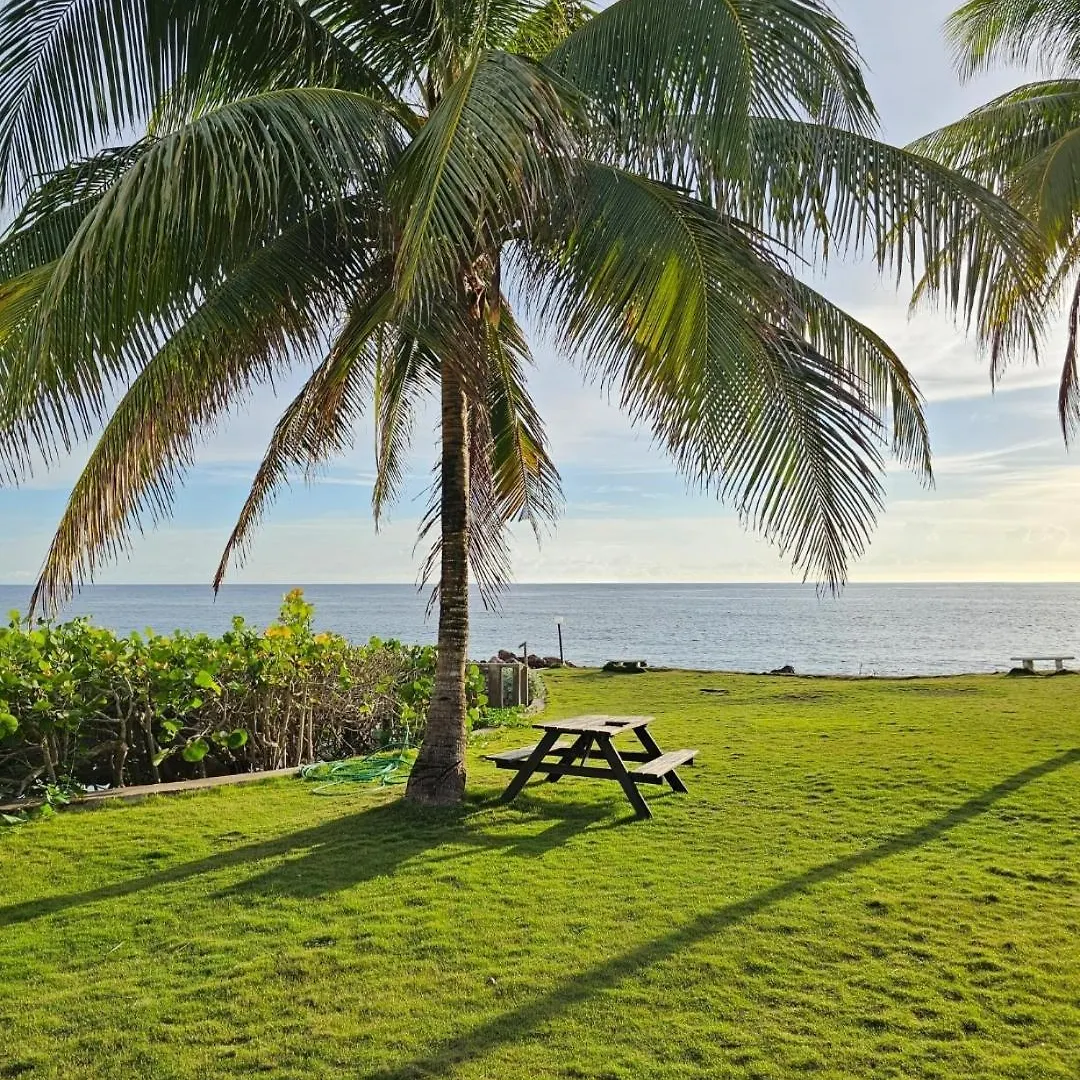 Palms By The Sea Lejlighed Saint Maryʼs