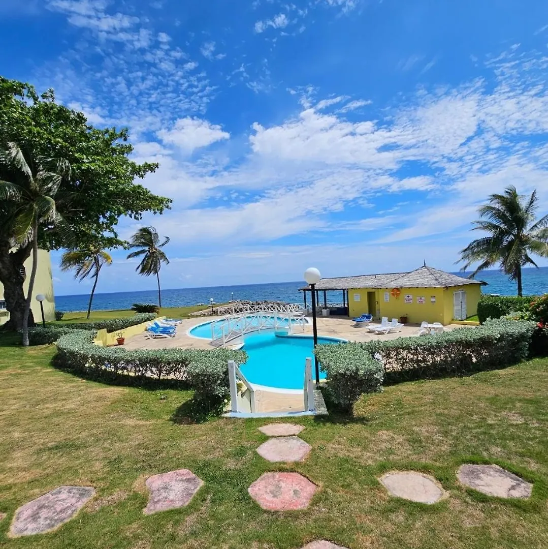 Palms By The Sea Lejlighed Saint Maryʼs Jamaica